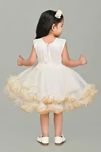 SR Fashion Casual Machine Embroidered Round Neck Knee Length Net Frock Dress for Kids Girls for Wedding, Birthday Party and Various Occasions-thumb2