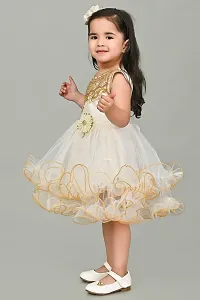 SR Fashion Casual Machine Embroidered Round Neck Knee Length Net Frock Dress for Kids Girls for Wedding, Birthday Party and Various Occasions-thumb4