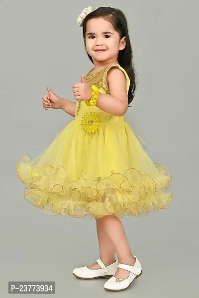 SR Fashion Casual Machine Embroidered Round Neck Knee Length Net Frock Dress for Kids Girls for Wedding, Birthday Party and Various Occasions-thumb4