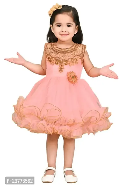 SR Fashion Casual Machine Embroidered Round Neck Knee Length Net Frock Dress for Kids Girls for Wedding, Birthday Party and Various Occasions-thumb0