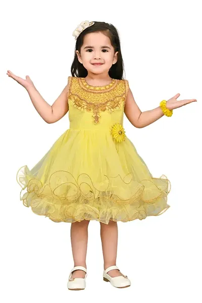 SR Fashion Casual Machine Embroidered Round Neck Knee Length Net Frock Dress for Kids Girls for Wedding, Birthday Party and Various Occasions