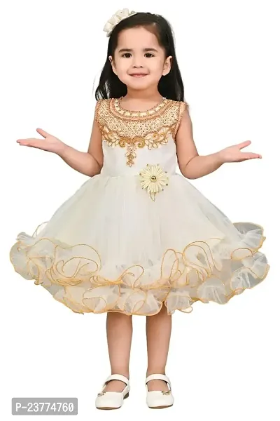 SR Fashion Casual Machine Embroidered Round Neck Knee Length Net Frock Dress for Kids Girls for Wedding, Birthday Party and Various Occasions