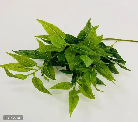 Green Artificial 5 Branch 65 Group Leaves 75cm
