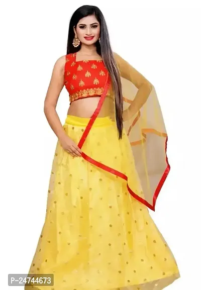 Stylish Multicoloured Net  Lehenga Choli Set For Women-thumb0