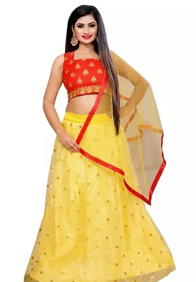 Stylish Net Lehenga Choli Set For Women