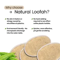 Natural Secrets Organic Sun-Dried Loofah Body Sponge-thumb2