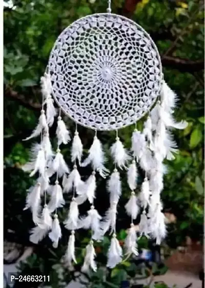 Beautiful Wall Hanging Dream Catchers, Pack Of 1