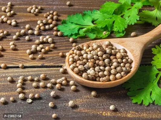 Coriander seeds for home garden pack of 50-thumb0