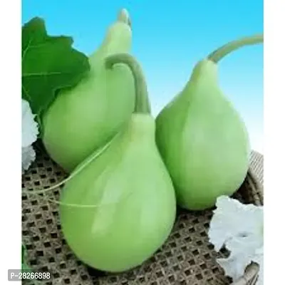 Vegetable Bottle Gourd 15 Seeds-thumb0