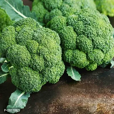 Organic broccoli seeds for sprouts ( 20 seeds )