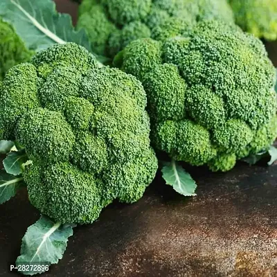 Broccoli seeds for planting ( 50 seeds )-thumb0