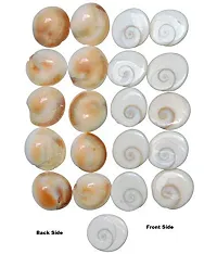 Gomati Chakra Original River Stones - 51 Pieces Gomti Chakra Original from Gomathi River Dwarka (51 Pieces)-thumb1