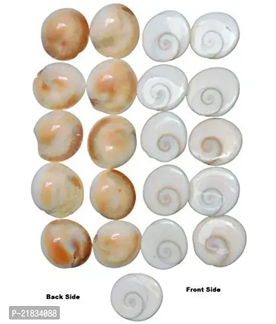 Gomati Chakra Original River Stones - 51 Pieces Gomti Chakra Original from Gomathi River Dwarka (51 Pieces)-thumb2