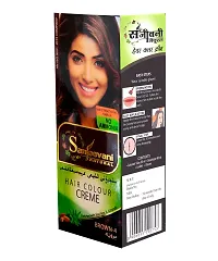 Sanjeevani Natural Hair Colour Creme | No Ammonia | Long-lasting Colour For Men and Womem Smoothness  Shine | Natural Color 50ml + 60ml (Pack of 1, Brown)-thumb2