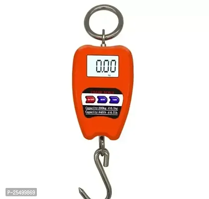 200Kg Hanging Weighing Mini Crane Scale