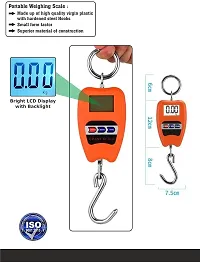 200Kg Hanging Weighing Mini Crane Scale-thumb2