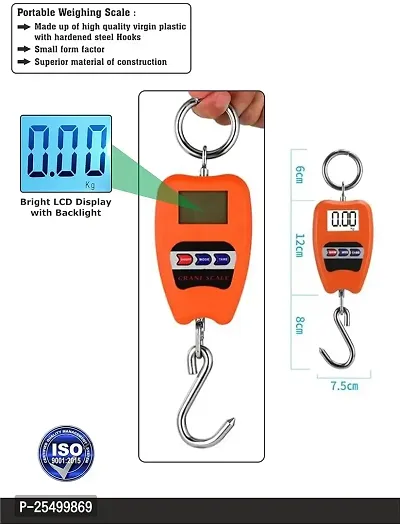 200Kg Hanging Weighing Mini Crane Scale-thumb3