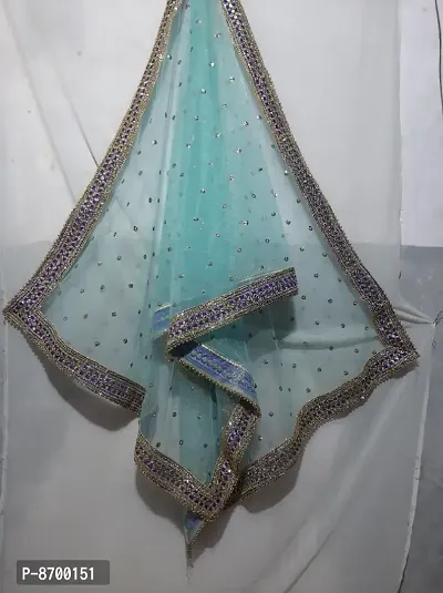 Classic Net Embroidered Dupattas-thumb0
