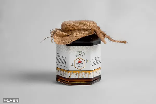 Classic Natural Honey 500 grams Pack of 1