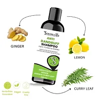 Professional Anti Dandruff Shampoo Enrich with Ginger, Lemon  Curry Leaf for Scalp Itchiness, Flaking and Dandruff Control- 100ml-thumb2