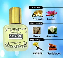 Wildplay Musk 30ml Spray Perfume-thumb3