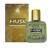 Wildplay Musk 30ml Spray Perfume-thumb2