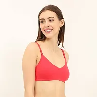 ENVIE Women's Full Coverage Bra_Non-Padded Wirefree Bra|Inner Wear Casual Use Everyday T-Shirt Bra-thumb2