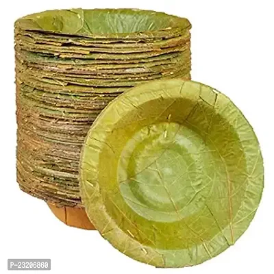 Biodegradable Disposable Maalu leaves 6 inch chowmin plate pack of 25