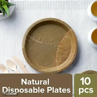 Leaf plates 25 plets