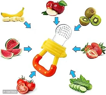 Organic Babys BPA-Free Silicone Nipple Food Nibbler for Fruits with Rattle Handle and Storage Box