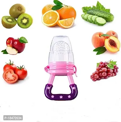 Organic Babys BPA-Free Silicone Nipple Food Nibbler for Fruits with Rattle Handle and Storage Box