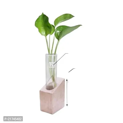Gardener Test Tube Planter Modern Glass Flower Vase with Wooden Holder Table Top Mango Wood Planter for Living Room Office Home Decor Pack of 1