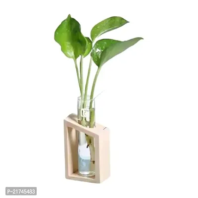 Gardener Test Tube Planter Modern Glass Flower Vase with Wooden Holder Table Top Mango Wood Planter for Living Room Office Home Decor-thumb0