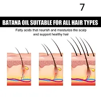 Hair Growth Essential Oil Strengthen Hair Roots Anti Hair Loss Hair Care Head Care Essential Oils-thumb1