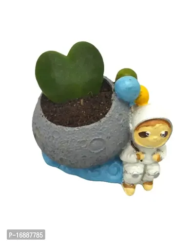 Phulwa Hoya Heart Plant with Astronaut Resin Pot, Perfect Indoor Plant for Home d?cor and Office decore-thumb2