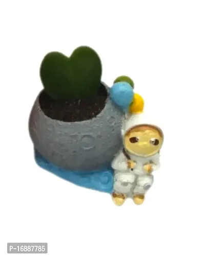 Phulwa Hoya Heart Plant with Astronaut Resin Pot, Perfect Indoor Plant for Home d?cor and Office decore