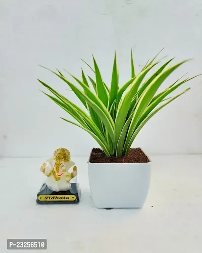 Phulwa Spider Plant with Radium Ganpati Bappa Beautiful - with White Pot-Home Decor -Best Gift-Diwali Gift