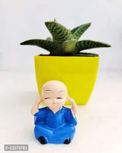 Phulwa Gonialoe variegata Plant and Little Baby Monk Buddha with yellow Pot-Home Decor -Best Gift-Diwali Gift-Happy Gift- Cute Monk say be calm-thumb0