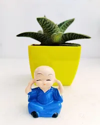 Phulwa Gonialoe variegata Plant and Little Baby Monk Buddha with yellow Pot-Home Decor -Best Gift-Diwali Gift-Happy Gift- Cute Monk say be calm-thumb3