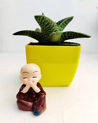 Phulwa Gonialoe variegata Plant and Little Baby Monk Buddha with yellow Pot-Home Decor -Best Gift-Diwali Gift-Happy Gift- Cute Monk say be calm-thumb2