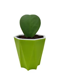 Phulwa Combo Set of 2 Hoya Heart Plant with Green Diamond with Basic Pot- Best Love Gift-Best Valentine Gift-Love with Health-thumb1