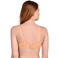 FAB  FAME Feeding Bras Combo-thumb2