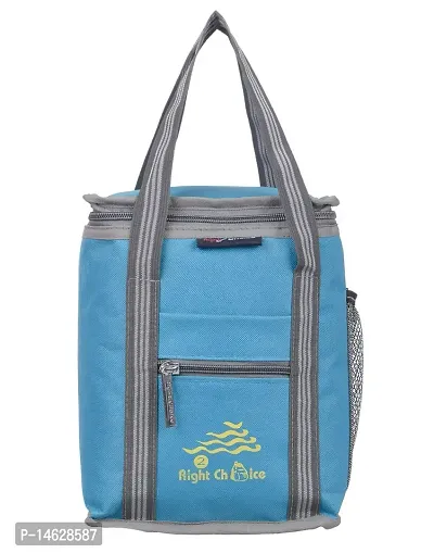 Right Choice Polyester Tiffin Box Carry Lunch Bag (Metallic Turquoise)
