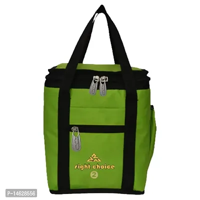 Right Choice Tiffin Box Carry Lunch Bag