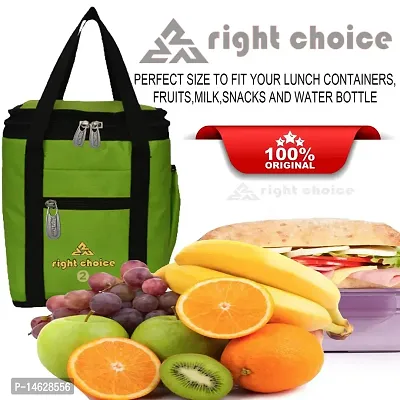 Right Choice Tiffin Box Carry Lunch Bag-thumb4