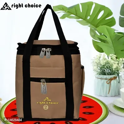 Right Choice Polyester Tiffin Box Carry Lunch Bag (Multicolor)-thumb2