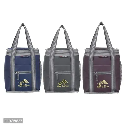 Right Choice 3 Piece Combo All Age Lunch Bags Branded Carry on School Office  Picnic Tiffin Bag. (Navy Blue+Grey+Brown)