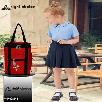 Right Choice Tiffin Box Carry Lunch Bag-thumb2