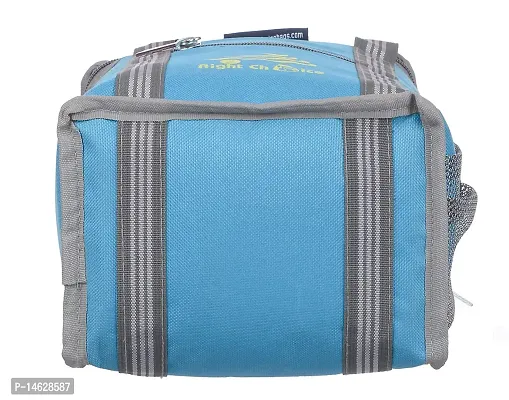 Right Choice Polyester Tiffin Box Carry Lunch Bag (Metallic Turquoise)-thumb4