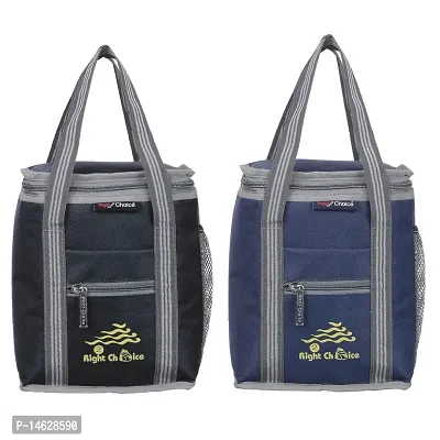 Right Choice Polyester Carry on Lunch/Tiffin Bags Combo School Office  Picnic Bag for All Age